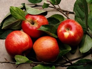 pommes-rouges-au-milieu-des-branches