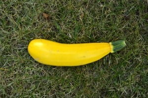 courgettes1
