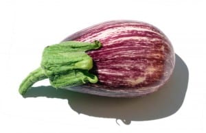 aubergine tigrée2