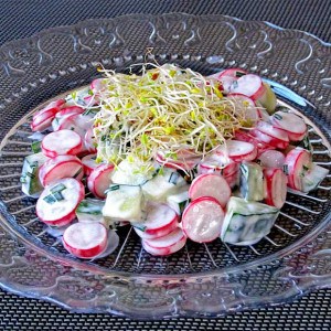 Salade crémeuse aux radis roses et au concombre