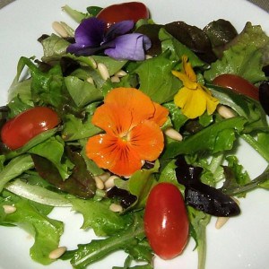 Salade fleurie