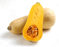 courge-butternut1