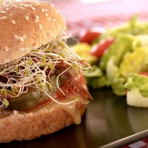 Hamburger à l'effilochée de porc