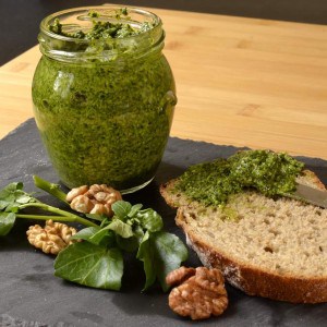 Pesto de cresson essonnien