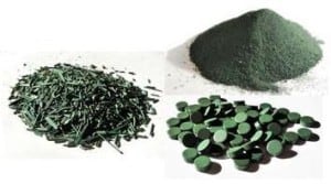 spiruline