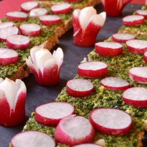 Canapés au pesto de cresson et aux radis roses