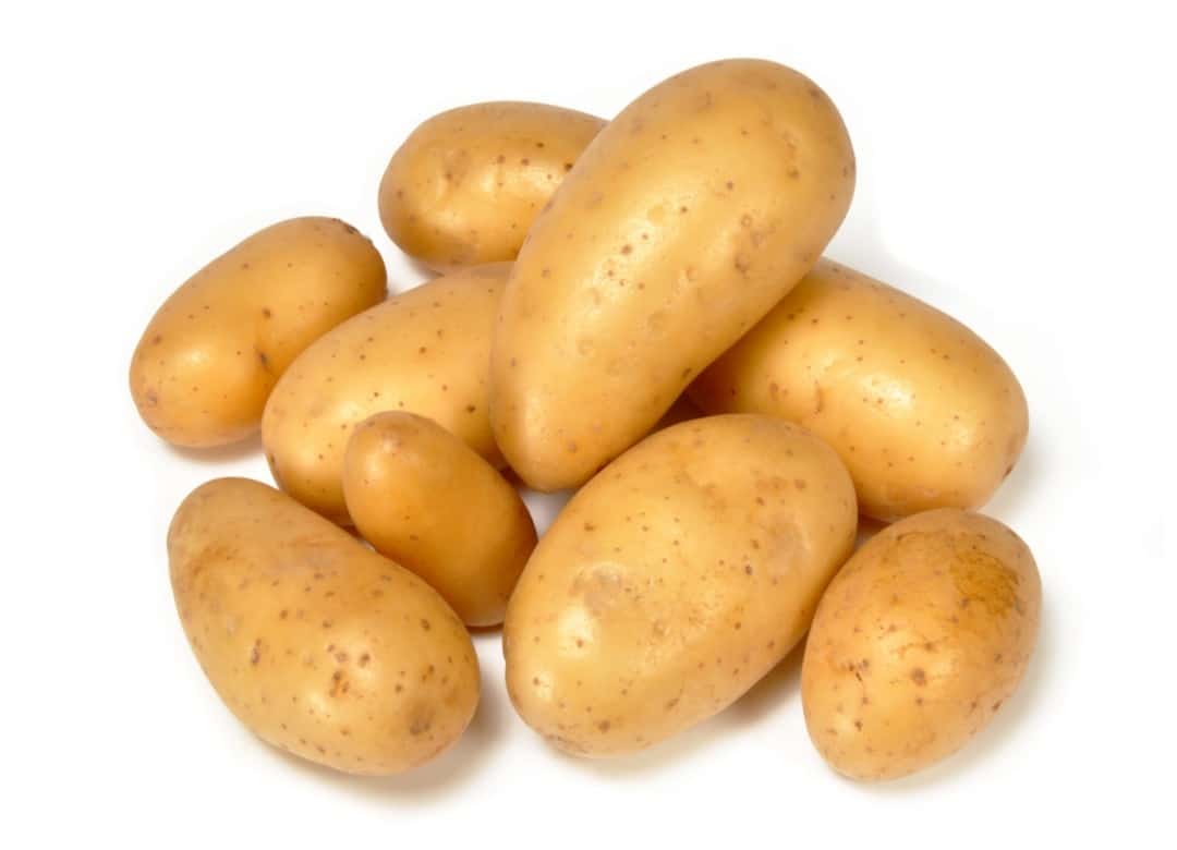 Картофель конкурент. Картофель продукты. Картофель на белом фоне. Картофель без фона. Урожай картофеля.